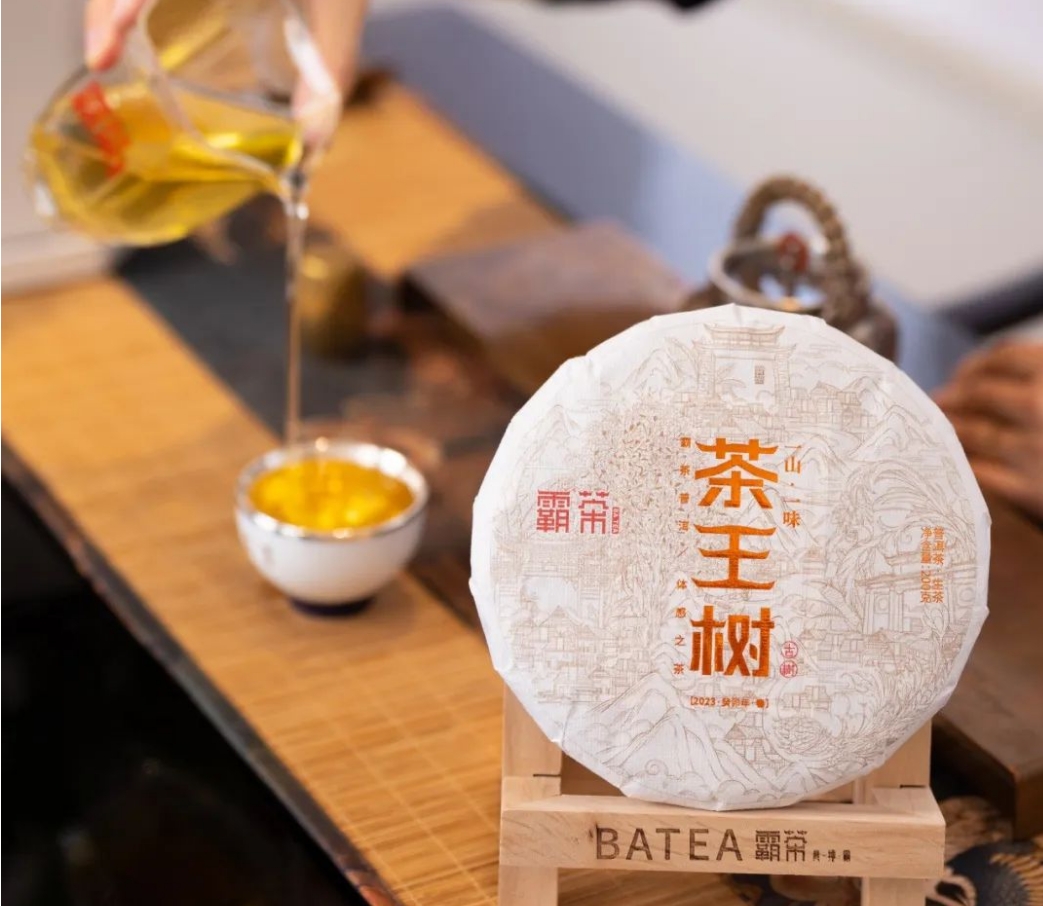茶王树 秘境王者 岁月之味